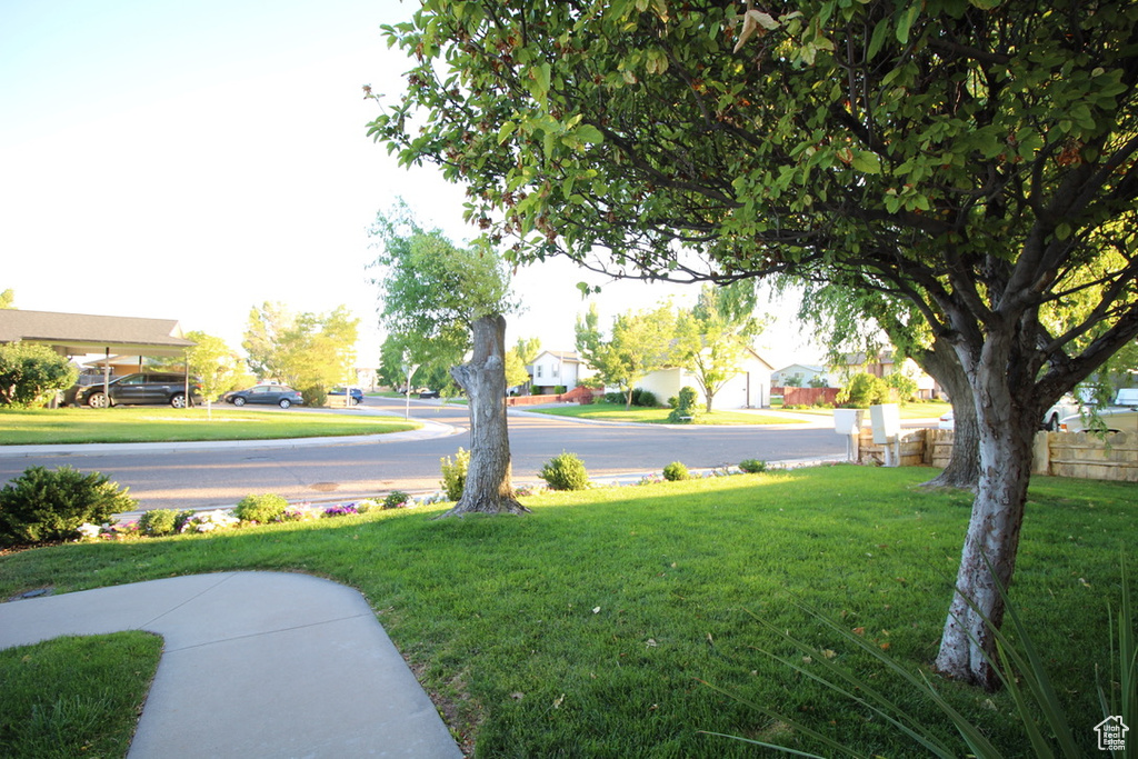 665 E BRISTLECONE LN Delta, UT 84624