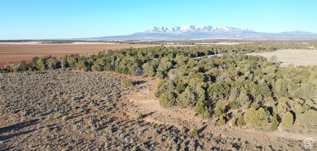 200 CR 311 Monticello, UT 84535