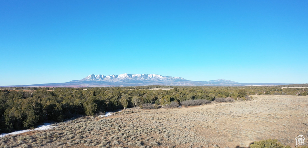 200 CR 311 Monticello, UT 84535