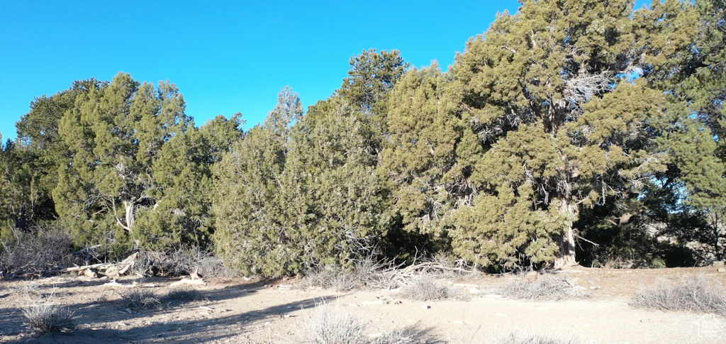 200 CR 311 Monticello, UT 84535