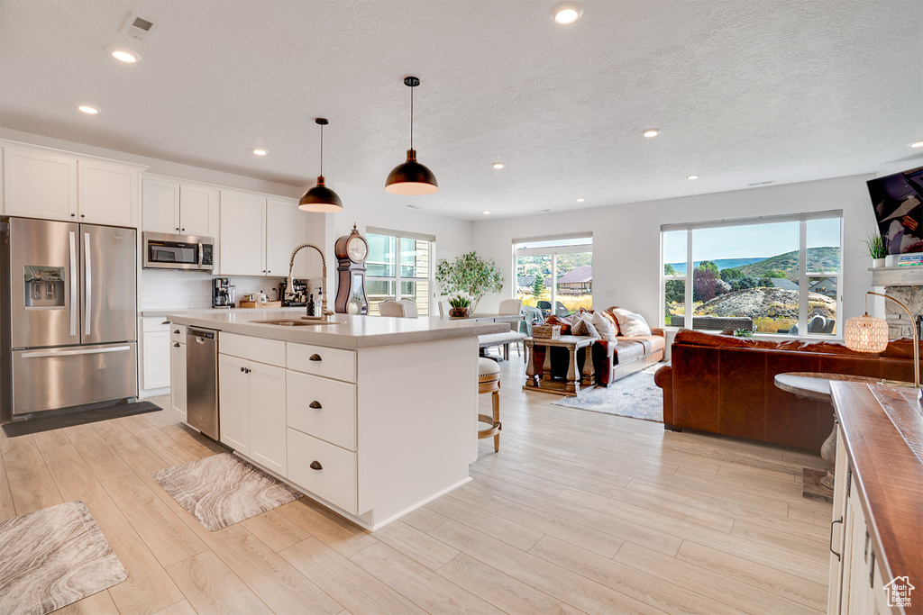 Photo 8 for MLS #2103069 at 1126 N Springer View Loop