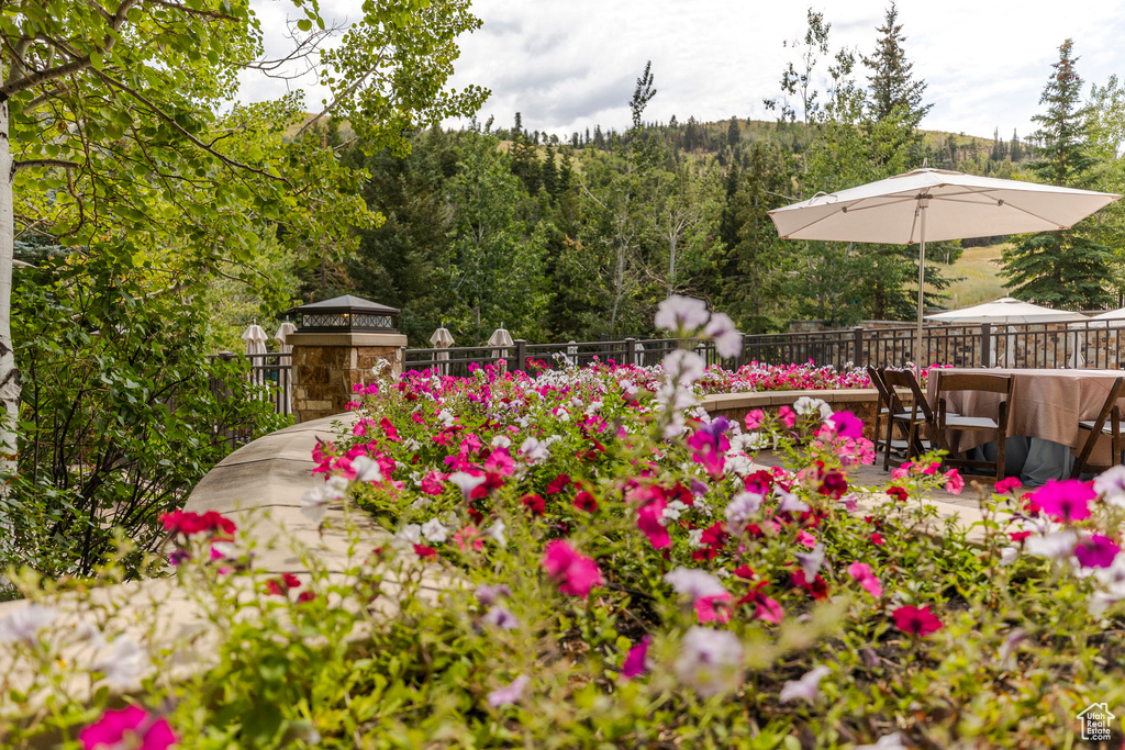 Photo 50 for MLS #2103073 at 2290 E Deer Valley Dr #4030