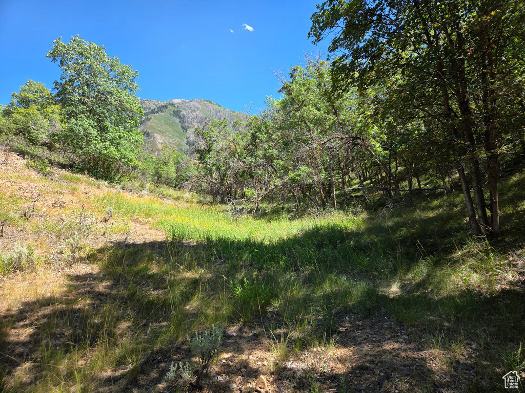 View of mountain background