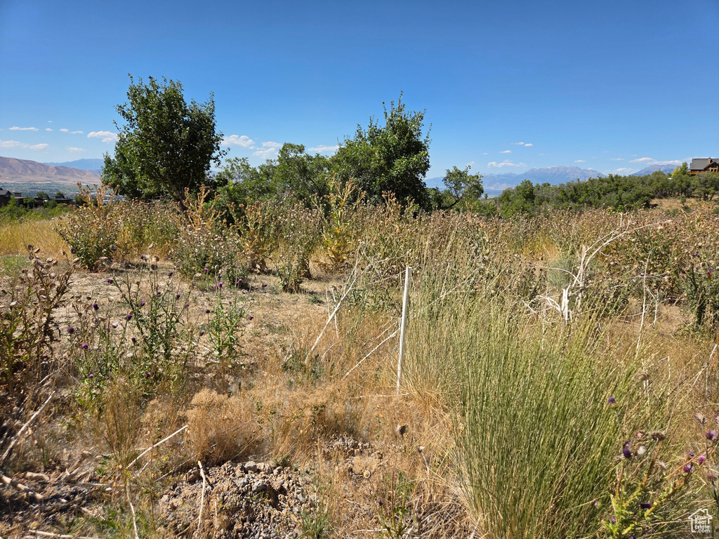 View of local wilderness featuring a mountainous background