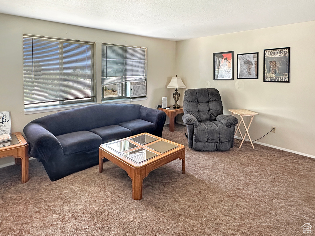 245 N 300 W Castle Dale, UT 84513