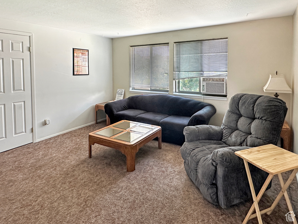 245 N 300 W Castle Dale, UT 84513