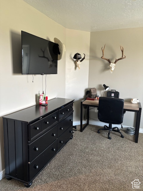 Photo 21 for MLS #2103167 at 392 W 3775 South