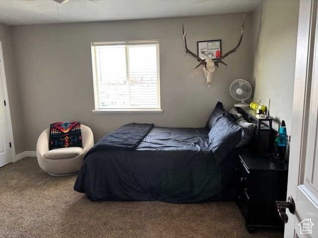 Photo 22 for MLS #2103167 at 392 W 3775 South
