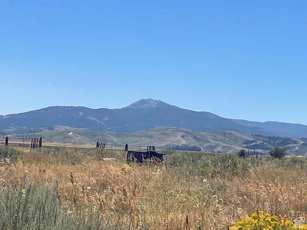 2993  HINES LN Soda Springs, ID 83276