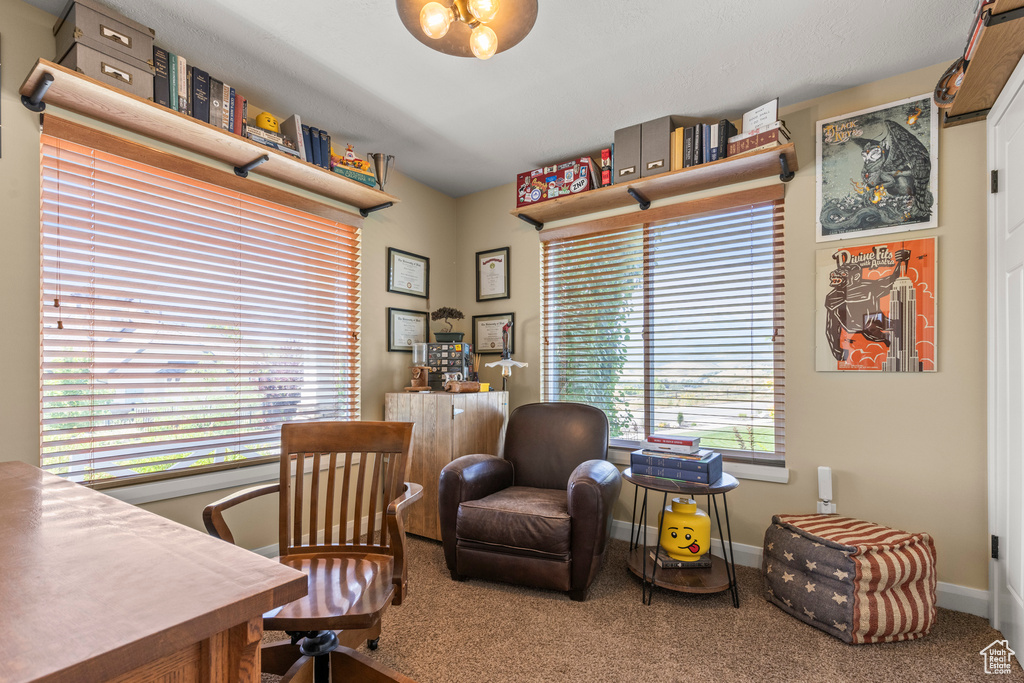 Photo 22 for MLS #2103198 at 6086 Hidden Hills