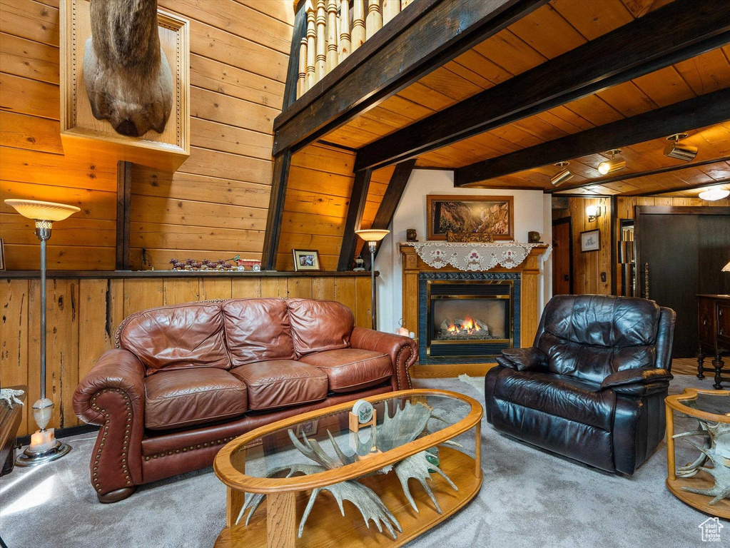 Photo 17 for MLS #2103214 at 2938 Wood Canyon Rd