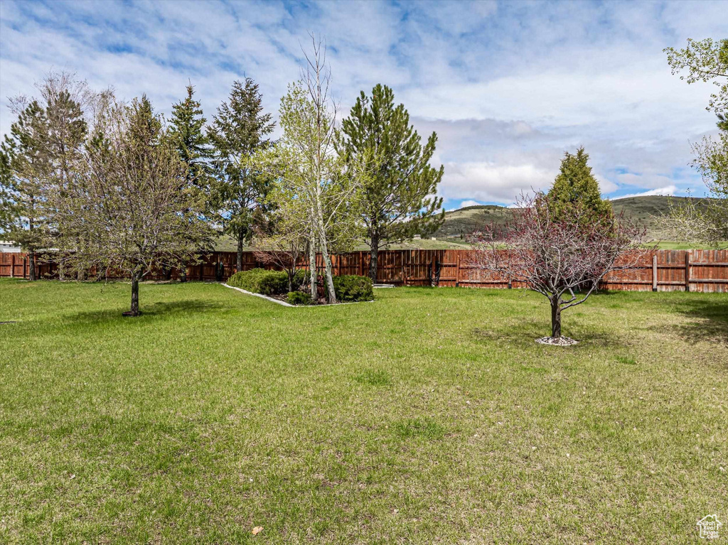 Photo 27 for MLS #2103214 at 2938 Wood Canyon Rd