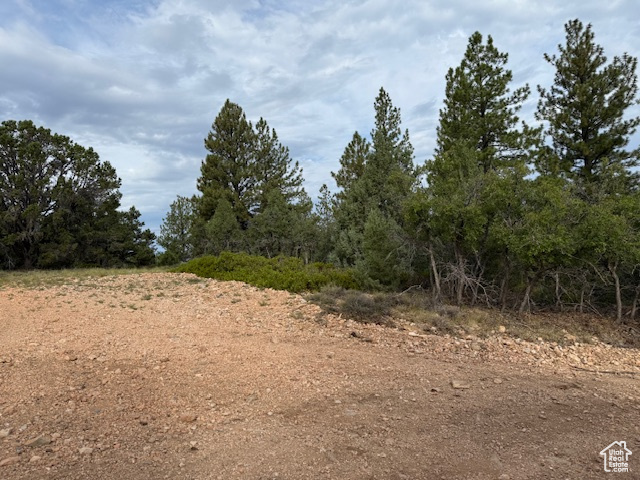 CREST CT Alton, UT 84710