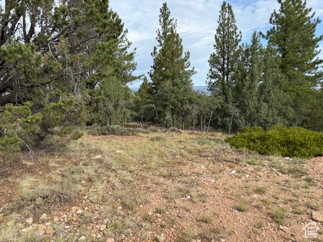 CREST CT Alton, UT 84710