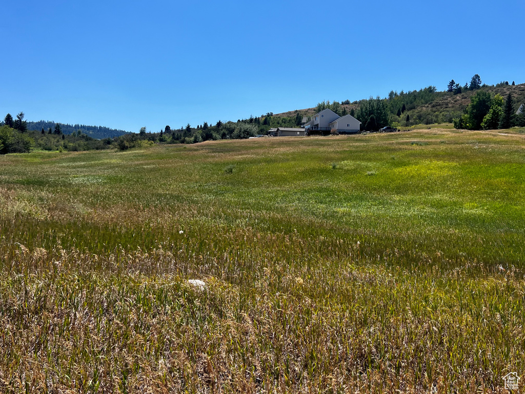 Photo 8 for MLS #2103276 at 1204 Hyperion Way