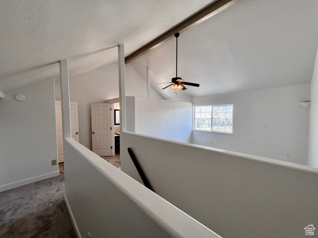 Photo 39 for MLS #2103276 at 1204 Hyperion Way