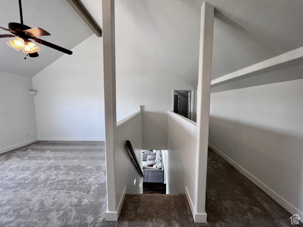 Photo 33 for MLS #2103276 at 1204 Hyperion Way