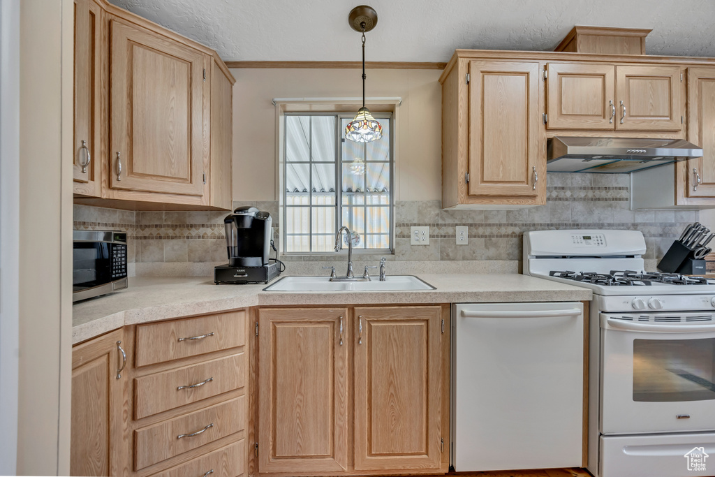 Photo 3 for MLS #2103279 at 1101 W Barberry Dr