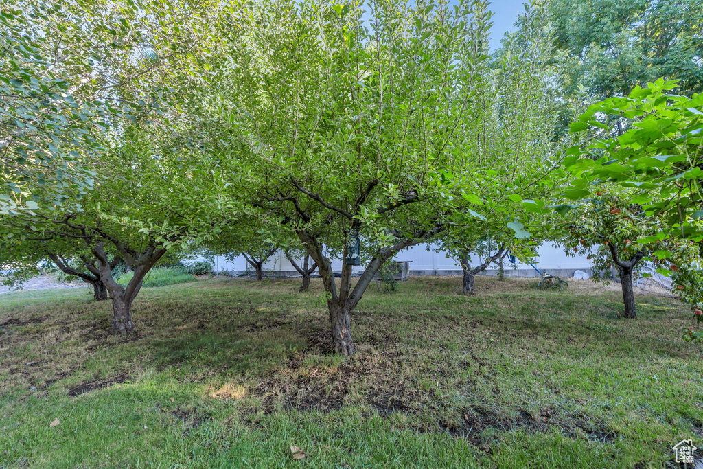 2374 W CENTER ST Provo, UT 84601