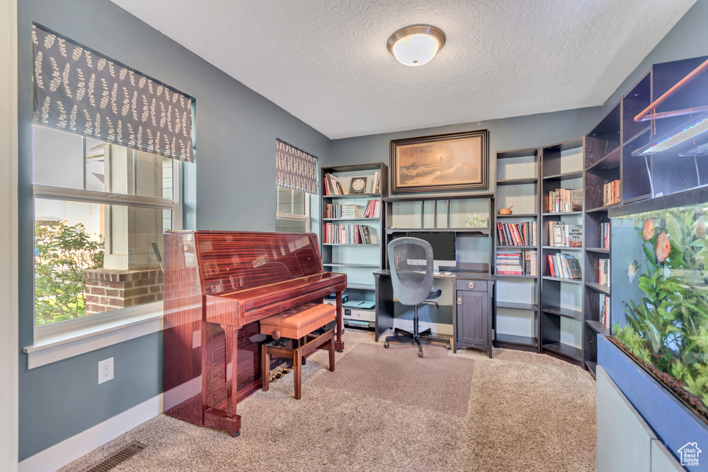 833 W ACADEMY DR Spanish Fork, UT 84660