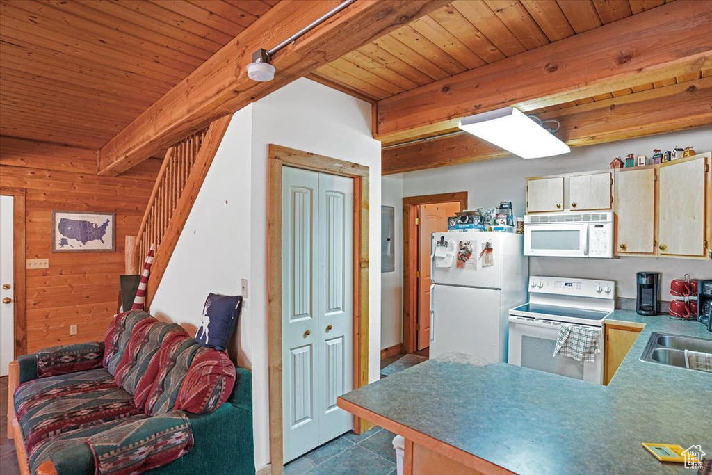 Photo 27 for MLS #2103347 at 4443 Buck Way
