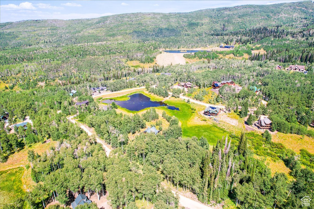 Photo 37 for MLS #2103347 at 4443 Buck Way