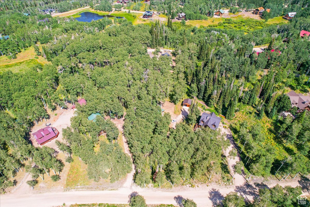Photo 33 for MLS #2103347 at 4443 Buck Way