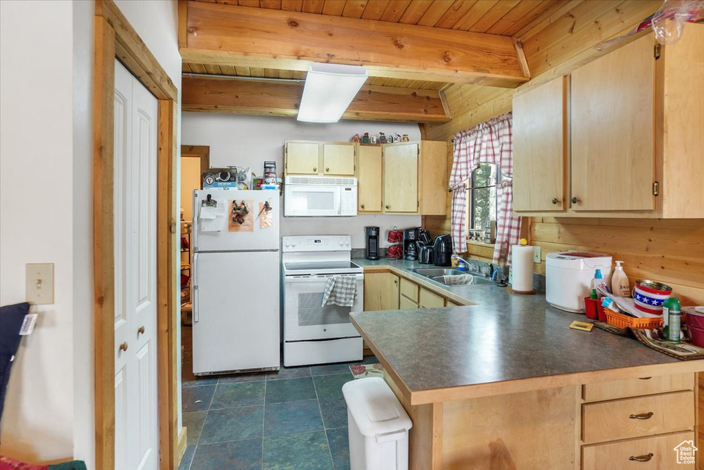 Photo 11 for MLS #2103347 at 4443 Buck Way