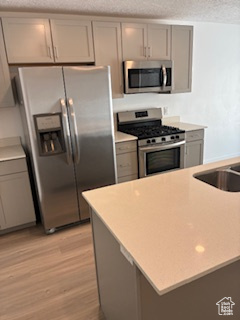 3538 W CORNFIELD DR Lehi, UT 84043