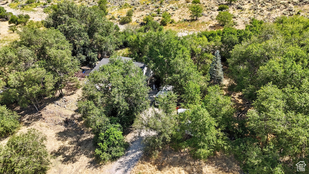 3500 N HWY 38 Brigham City, UT 84302