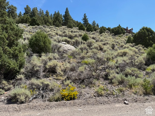 352 N MEADOWLARK DR Panguitch, UT 84759