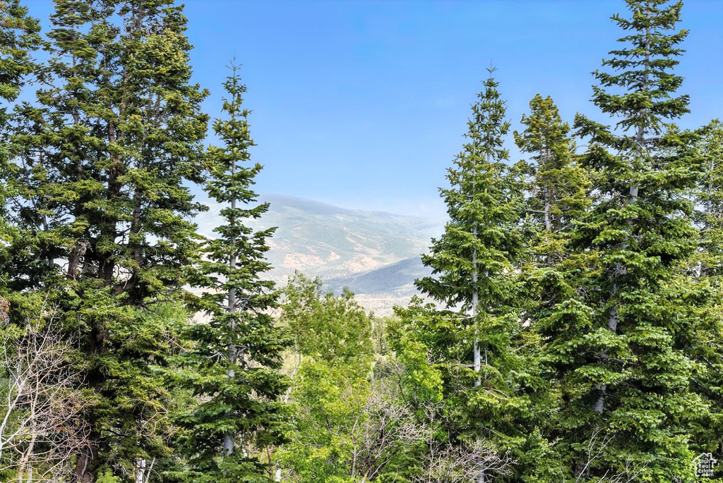Photo 25 for MLS #2103420 at 1180 Oak Rd