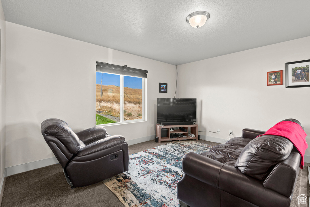346 S RED ROCK DR Santaquin, UT 84655