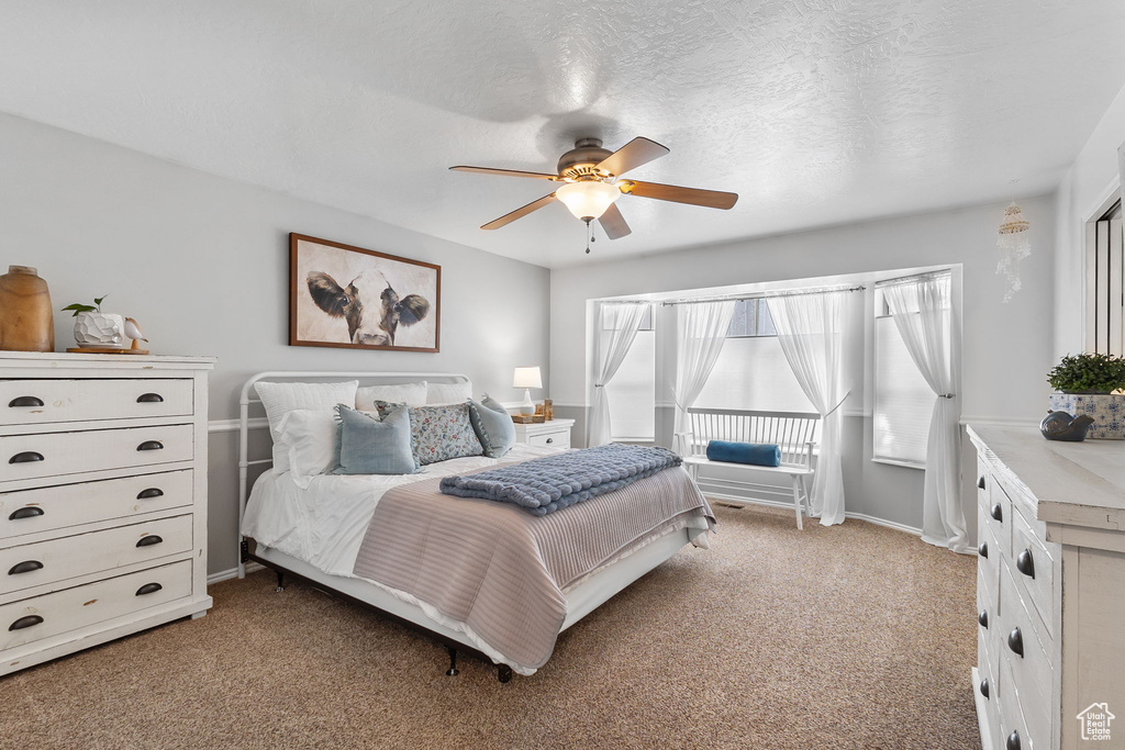 11321 S 2480 W South Jordan, UT 84095