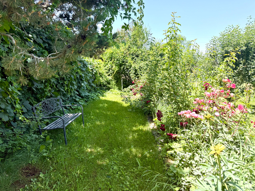 390 N 100 W Fillmore, UT 84631