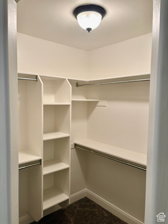 920 S 25 E #4F Cedar City, UT 84720