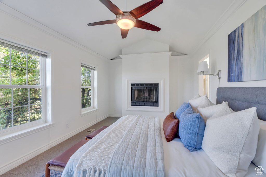 Photo 15 for MLS #2103556 at 4299 Ivy Ln