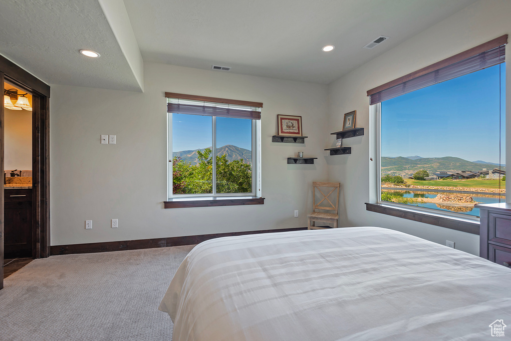 Photo 32 for MLS #2103584 at 1375 E Lasso Trl