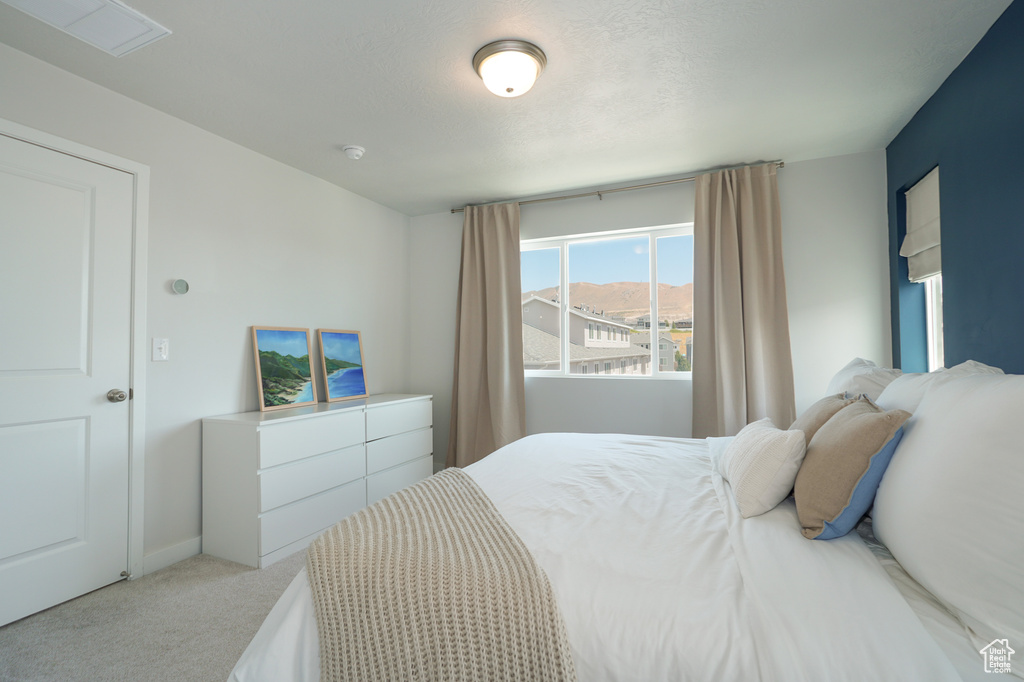 15081 S HALTER WAY Bluffdale, UT 84065