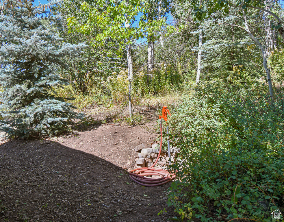 Photo 32 for MLS #2103635 at 64 Navajo Way
