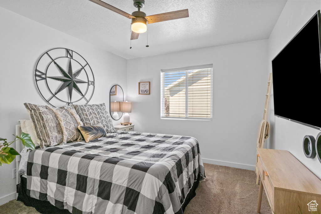 Photo 21 for MLS #2103704 at 5077 W Blythswood Ln