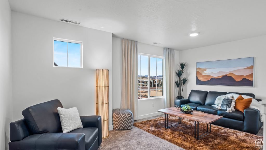 Photo 42 for MLS #2103705 at 1485 S Wagon Box Way #82