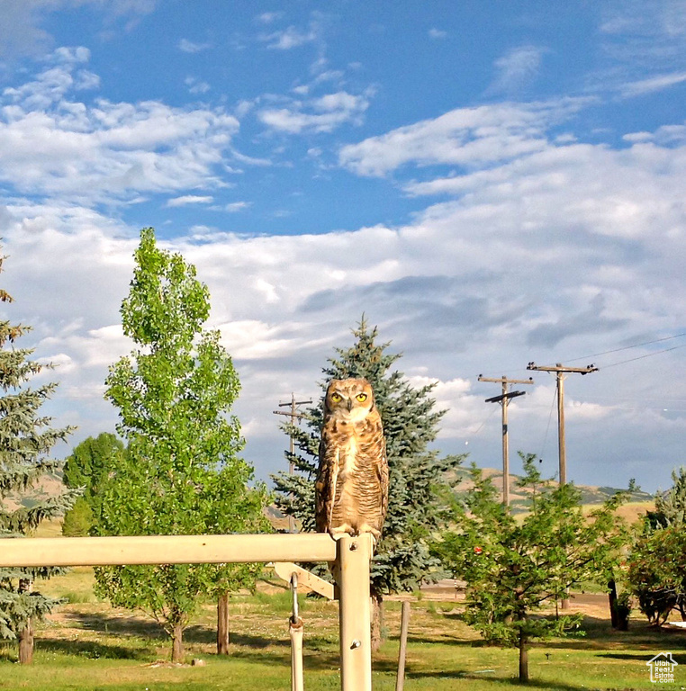 Photo 44 for MLS #2103836 at 6995 W 2200 South