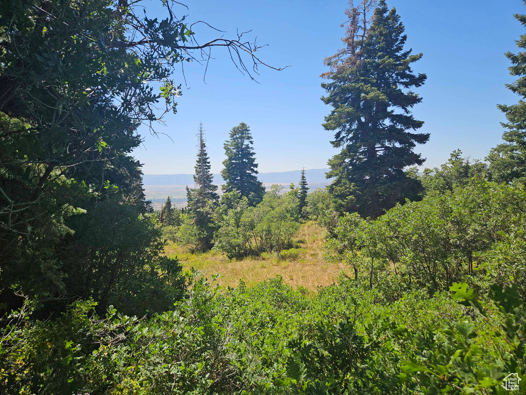 View of undeveloped land