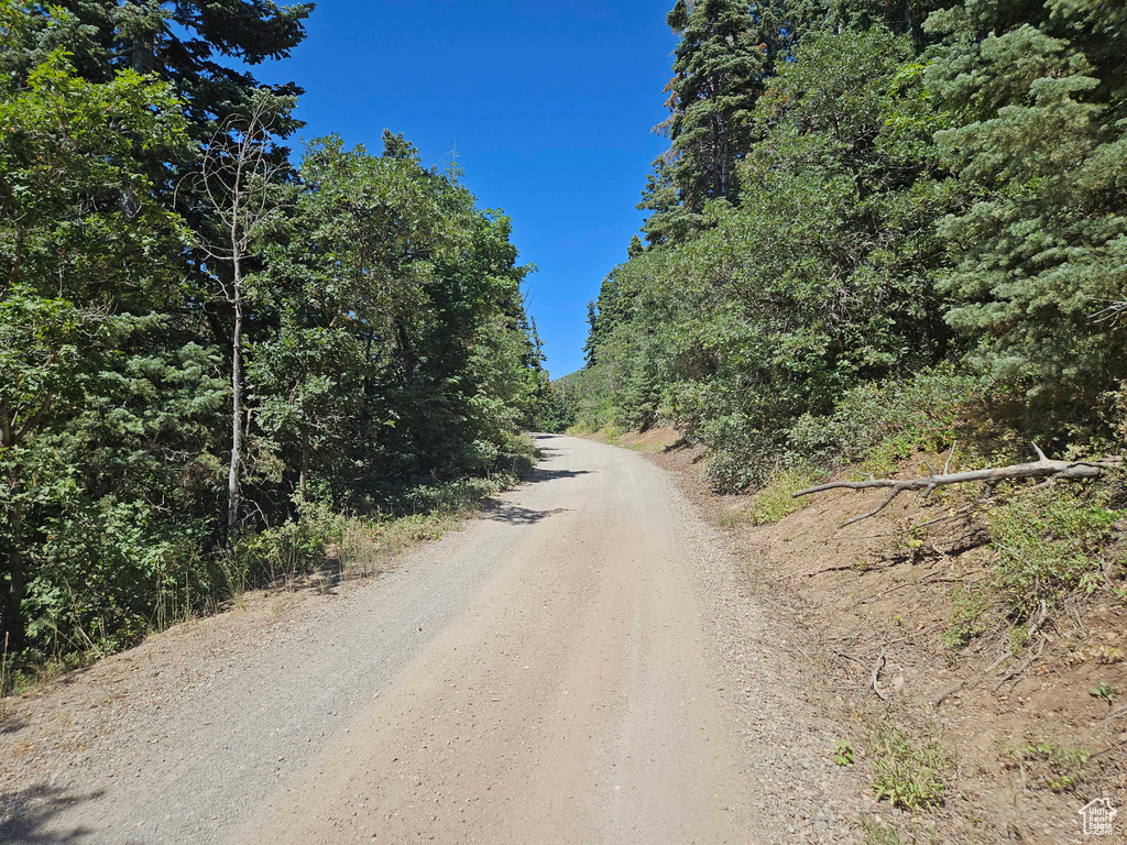 View of dirt / gravel road with a forest view
