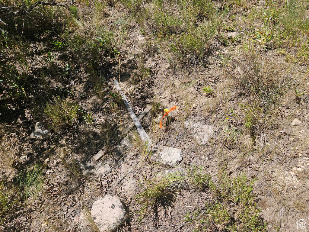 Aerial view of property's location