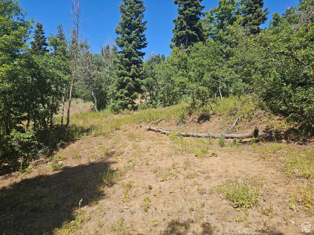 View of undeveloped land