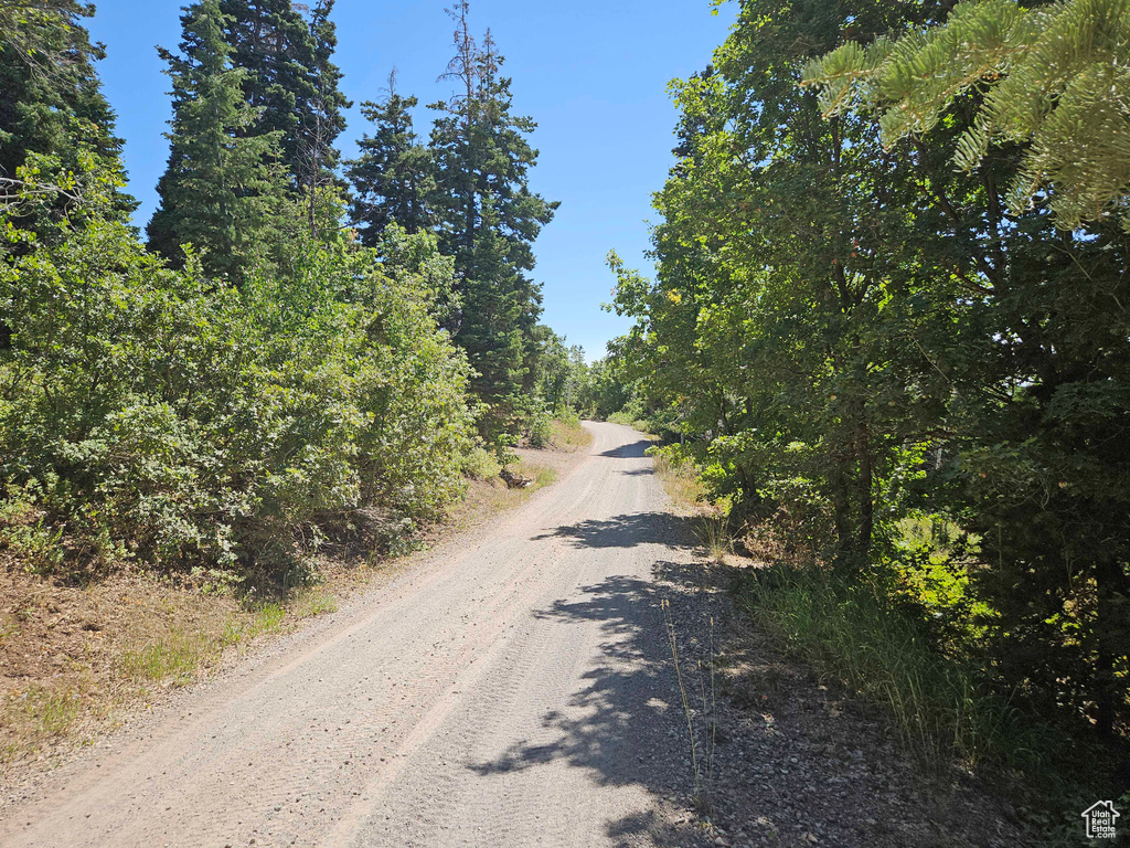 View of dirt / gravel road