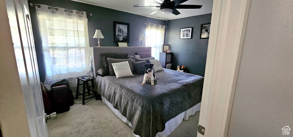 Photo 9 for MLS #2103862 at 2269 S Clear Creek Rd
