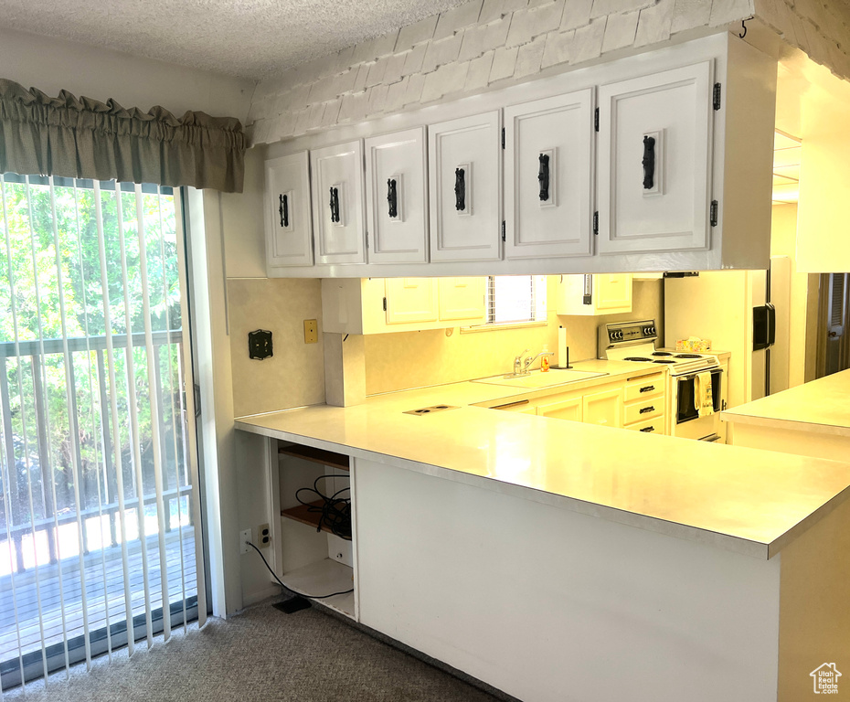 Photo 4 for MLS #2103870 at 3565 S Eccles Ave